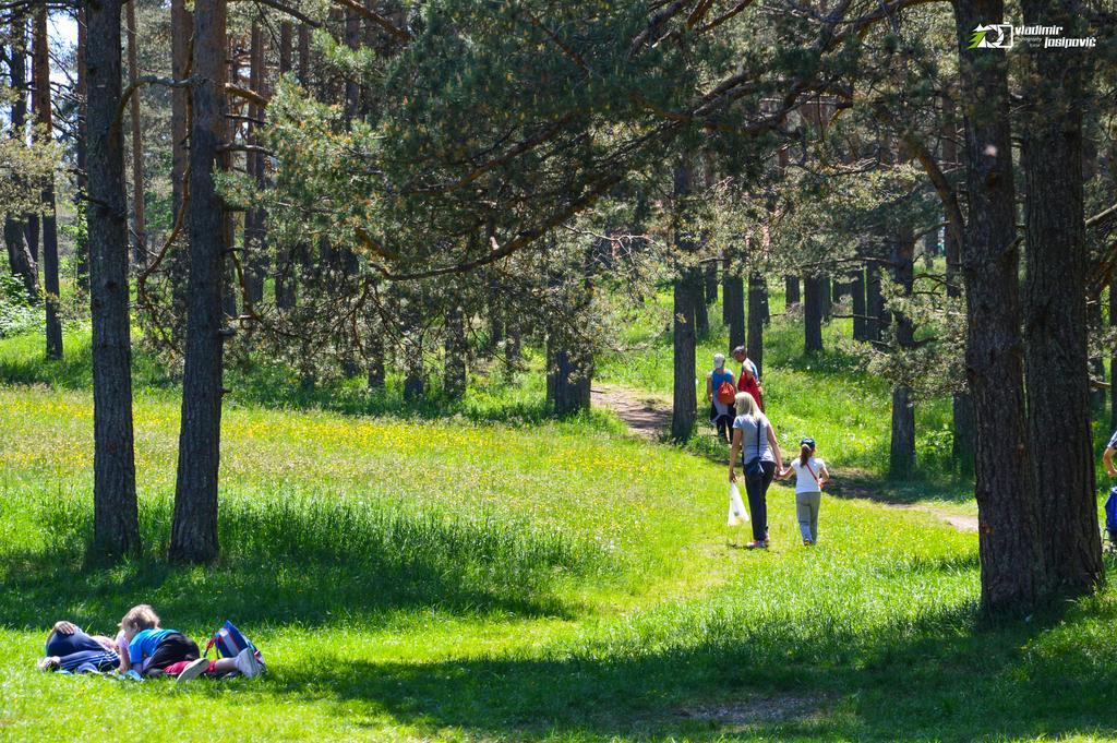 Apartments Josipovic Zlatibor Luaran gambar